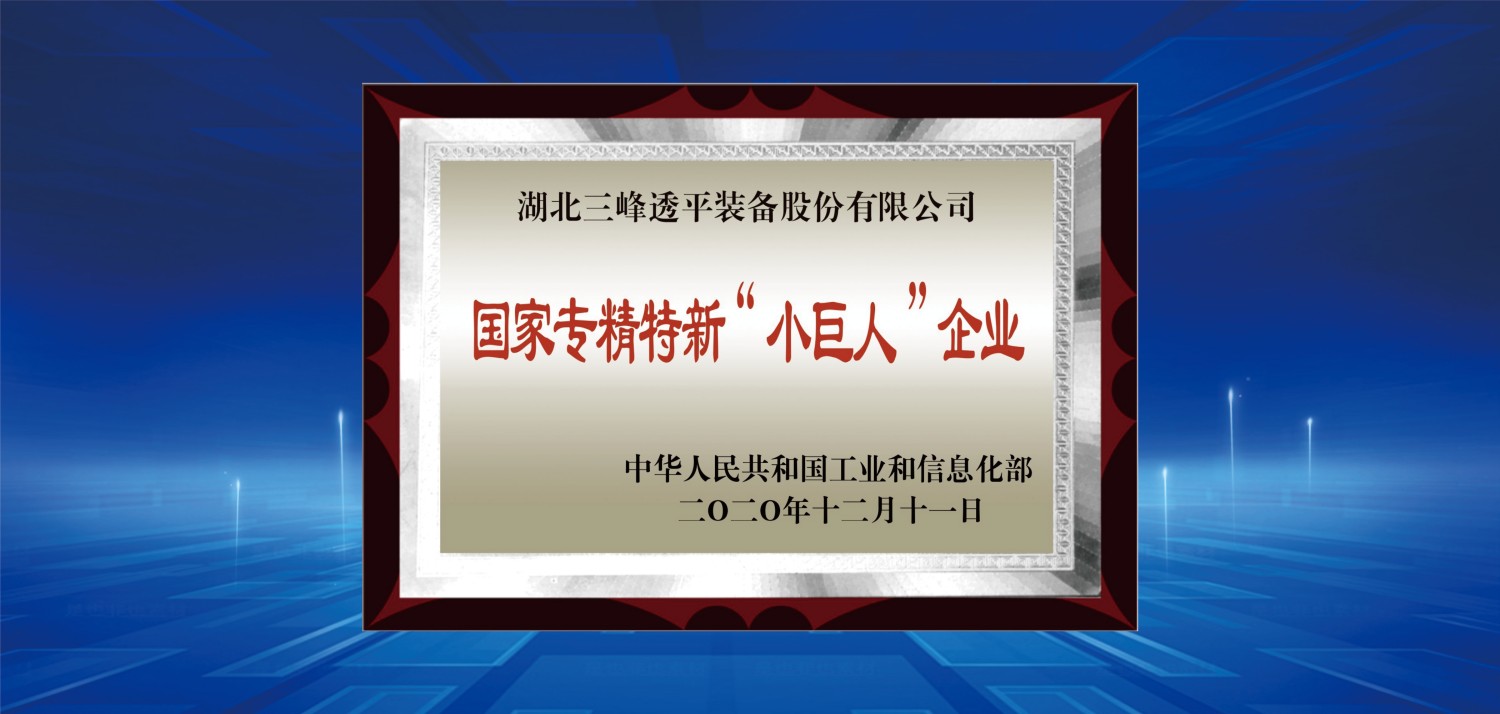 國(guó)家級(jí)專精特新小巨人.jpg